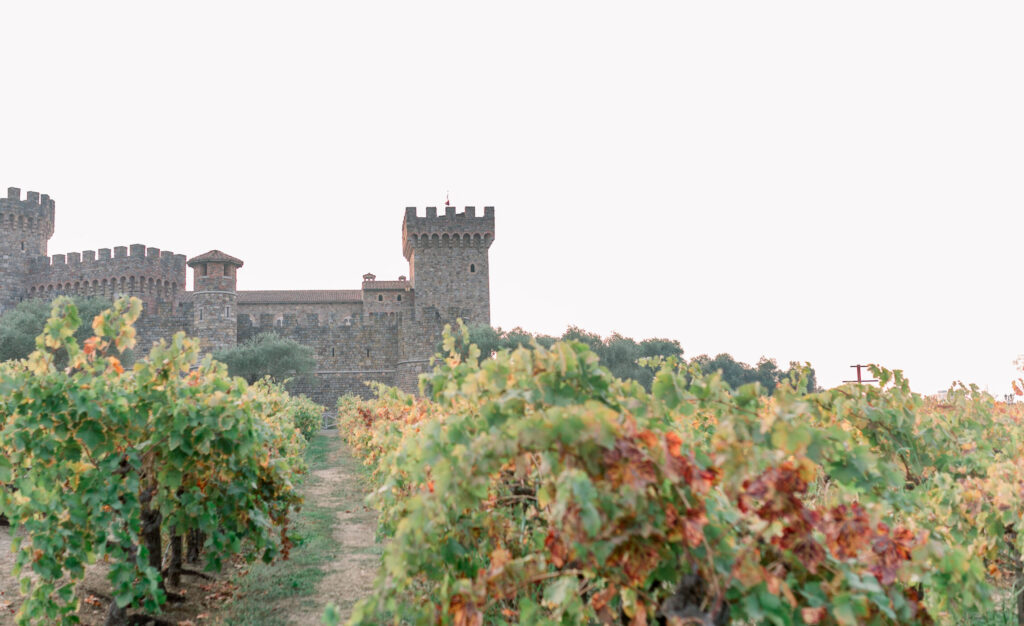 Castello Di Amorosa in Napa Valley photo by destination wedding photographer Sarah Schweyer Photography who is based in California and Montana